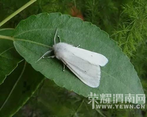 С���ҥ��μ��Ҫ�ɻ���ҩ����ɹ����ɹ�·�����Ϣ��ʵ����