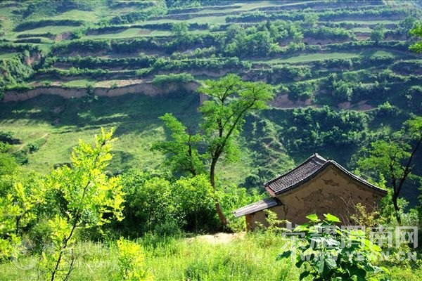 μ�Ͽ���ͬ�л��⡿���¾���һ���Ρ�5.21��ӣ�Ҳ�ժ+���㹵�羰��+��¹ԭ�����Ļ�....