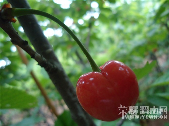 μ�Ͽ���ͬ�л��⡿���¾���һ���Ρ�5.21��ӣ�Ҳ�ժ+���㹵�羰��+��¹ԭ�����Ļ�....