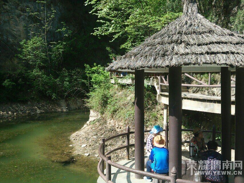 ��μ���߲ʻ��⡿5��19(�����ģ���˿��Ͽ������һ��