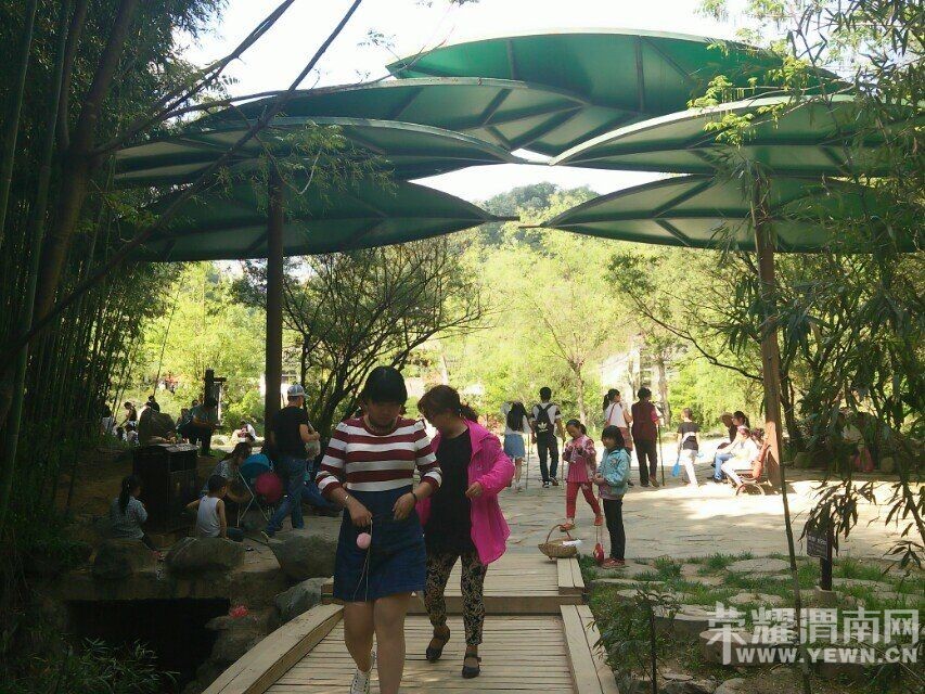 ��μ���߲ʻ��⡿5��19(�����ģ���˿��Ͽ������һ��