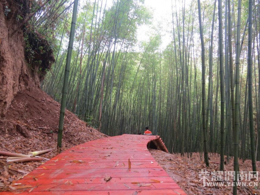 ��μ���߲����Ρ���5��15�ţ������գ���¹ԭ�ﾨ�㹵�����񺣡��ժӣ��һ����