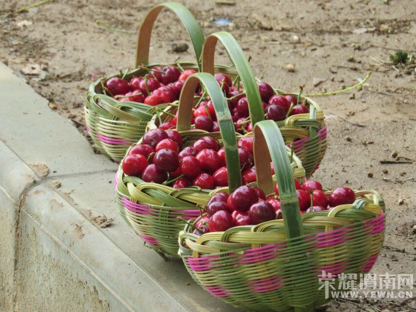 ��μ���߲����Ρ���5��18�ţ�����������¹ԭ�ﾨ�㹵�����񺣡��ժӣ��һ����