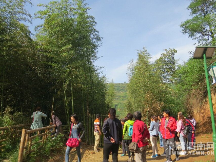 ��μ���߲����Ρ���5��18�ţ�����������¹ԭ�ﾨ�㹵�����񺣡��ժӣ��һ����