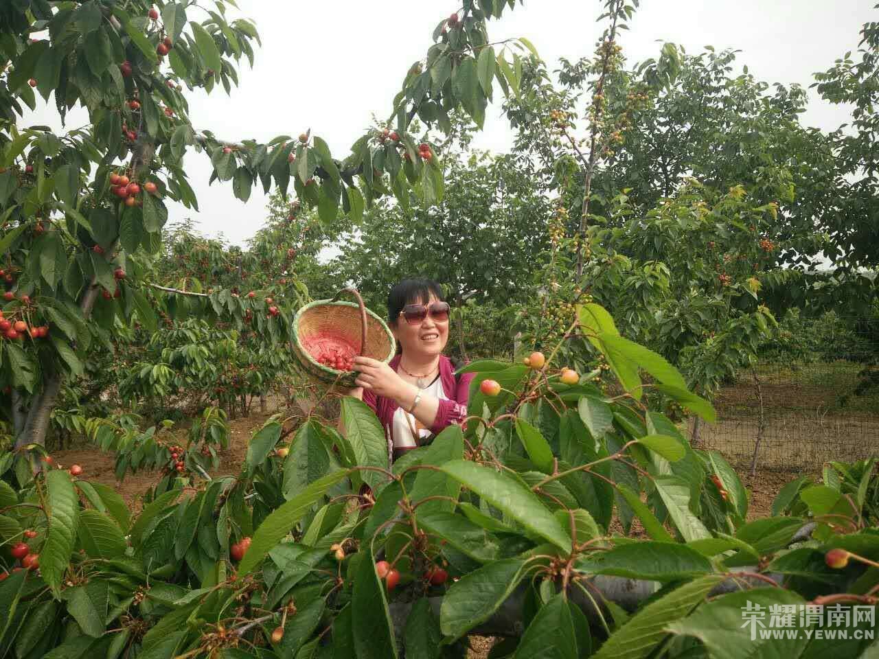 ��μ���߲����Ρ���5��18�ţ�����������¹ԭ�ﾨ�㹵�����񺣡��ժӣ��һ����