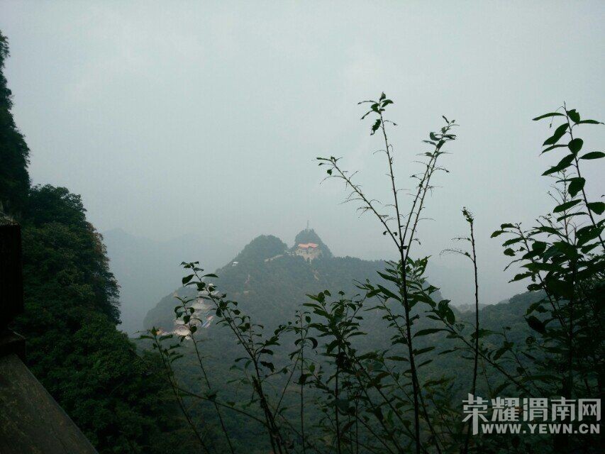 ��μ���߲ʻ��⡿5��19�գ������ģ�������ɽ��ɽ���������Ϸ�����Ʊһ����