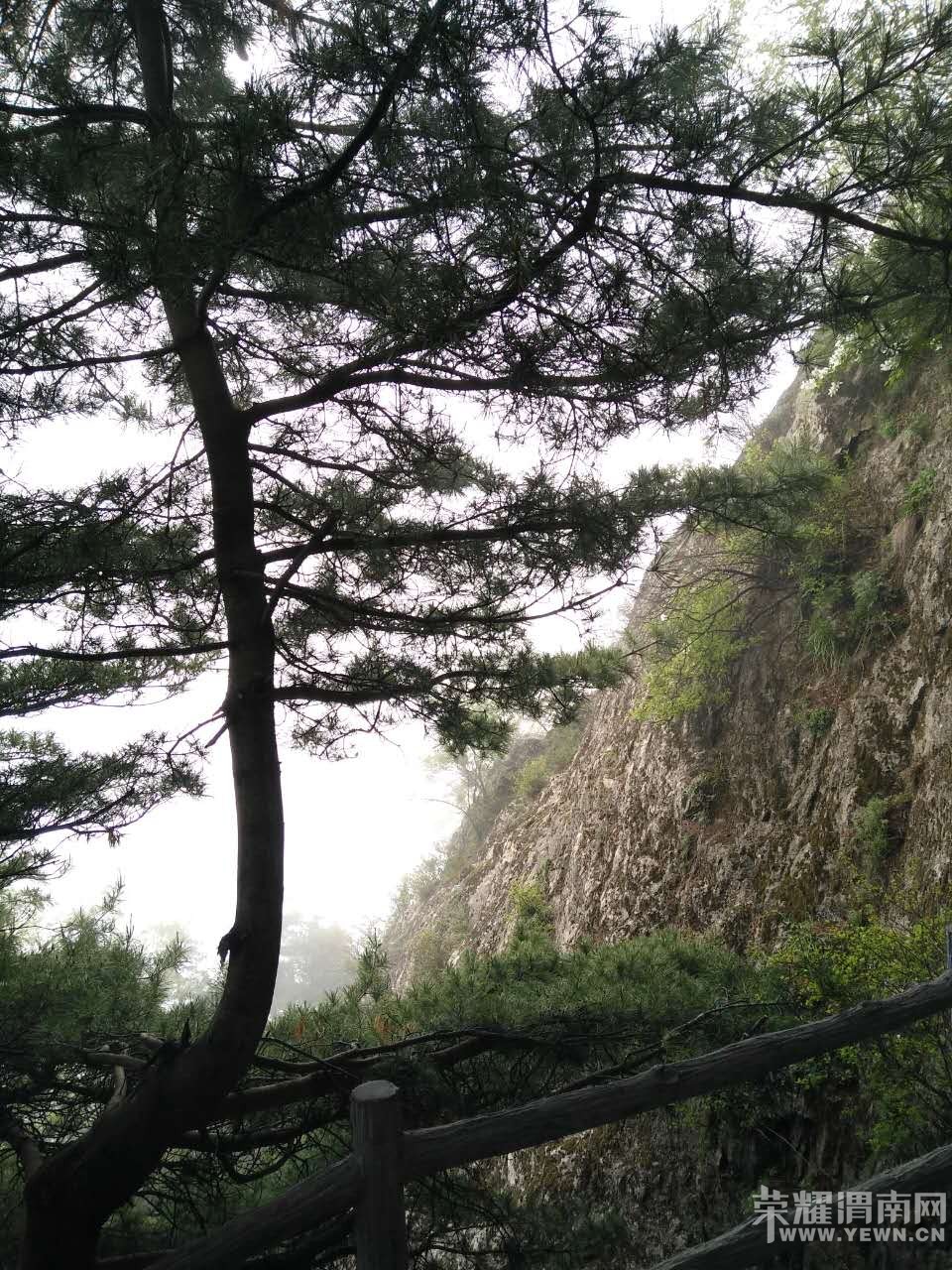 ��μ���߲����Ρ���5��21�ţ�(��������������˳ɽ���еǸ�ǧ��ž�һ����