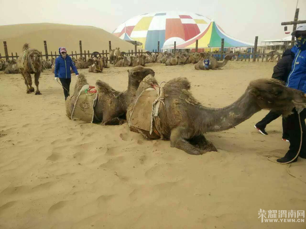 ���ڷ�һ��׷�������һ·�򱱣��������ɣ����������˹������