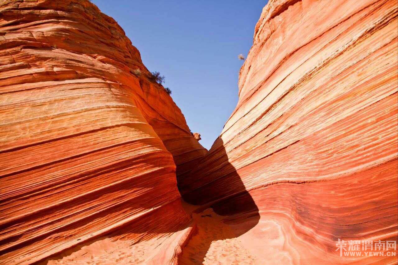 ���ڷ�һ��׷�������һ·�򱱣��������ɣ����������˹������