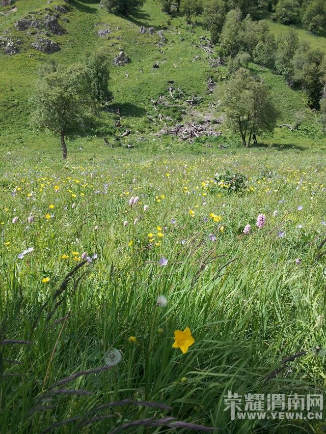 ��μ���߲ʻ��⡿ 5��26��29�����ɾ۱��Ѻ������������