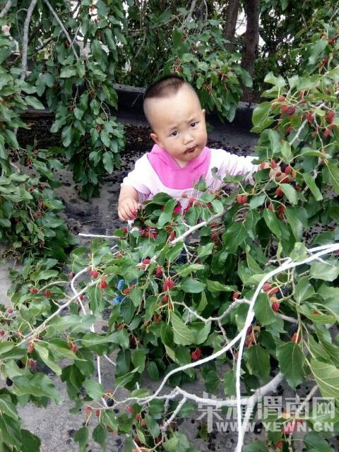 �������������ְ�����ͯ��ļ��䣬������������~~