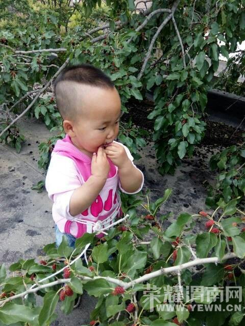 �������������ְ�����ͯ��ļ��䣬������������~~