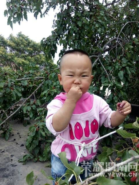 �������������ְ�����ͯ��ļ��䣬������������~~