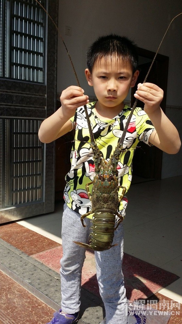 ���ϵ����������Լ�4���μ�