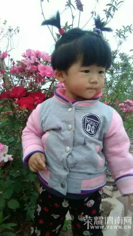 �����װ��ı�������520дһ����ʫ���Լ�