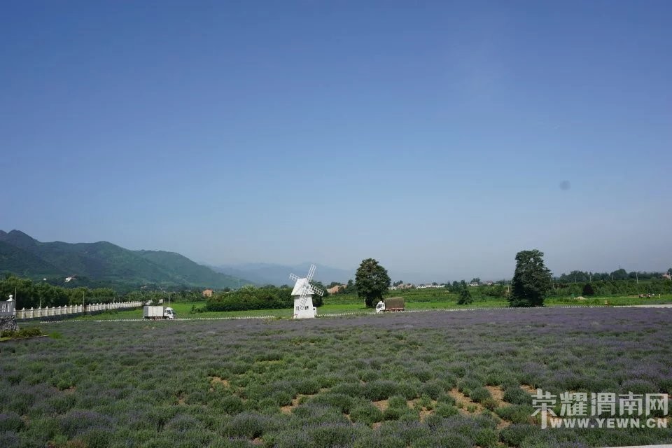 �������μ�Ͽ���ͬ��5��28��޹�²�ׯ԰+����С����ˮ��+¥��̨һ����