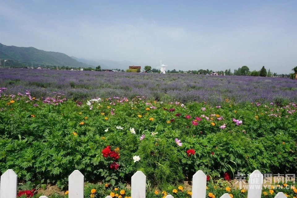 �������μ�Ͽ���ͬ��5��28��޹�²�ׯ԰+����С����ˮ��+¥��̨һ����