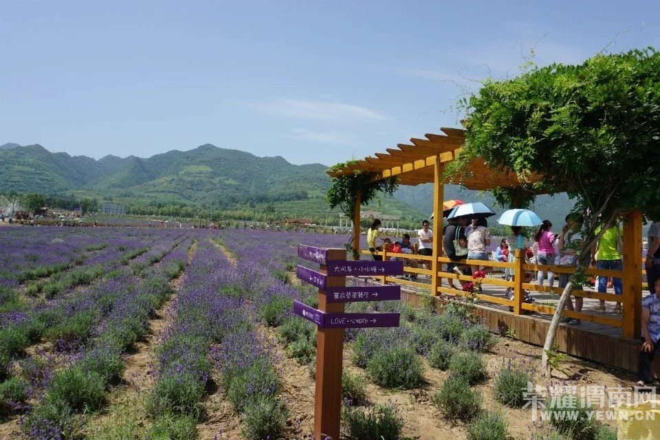 �������μ�Ͽ���ͬ��5��28��޹�²�ׯ԰+����С����ˮ��+¥��̨һ����