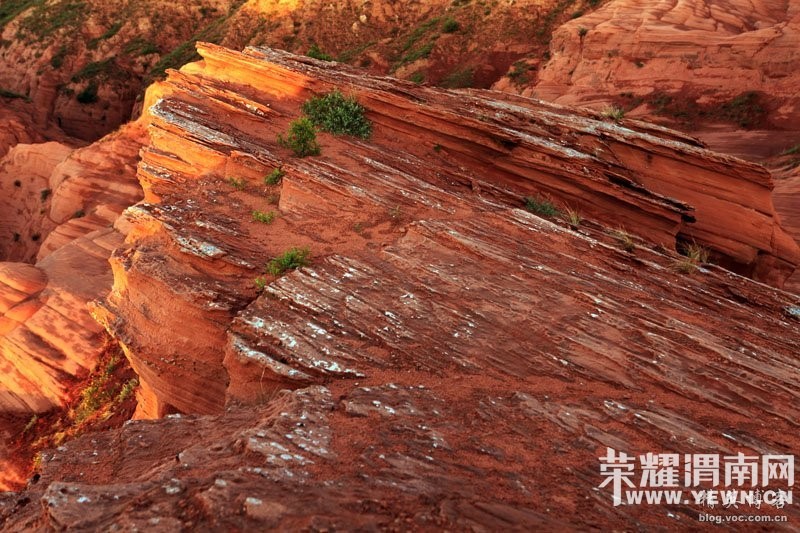 �������μ�ϡ�����ͬ�С�5��28��-29���±��Ӱ�����ˮ�ϵ�ϼ���˹�������