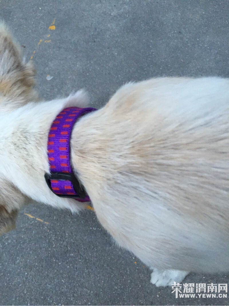 һֻ���˹����ˣ��������ߺú��������о͸��ң�