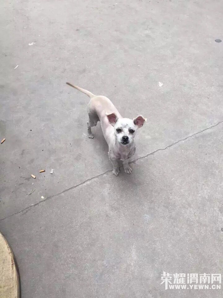 һֻ���˹����ˣ��������ߺú��������о͸��ң�