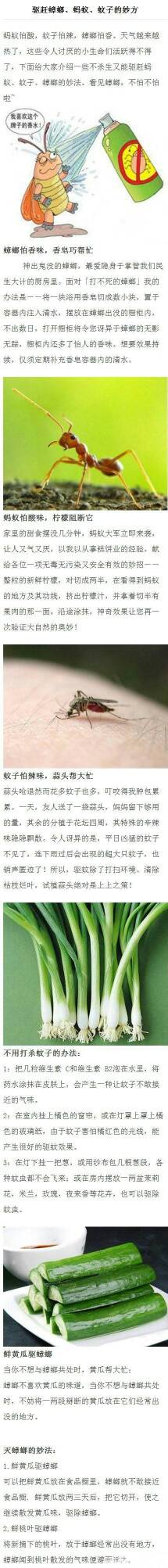 ���쵽�ˣ������̴̽������������ϡ����ӡ���롭��