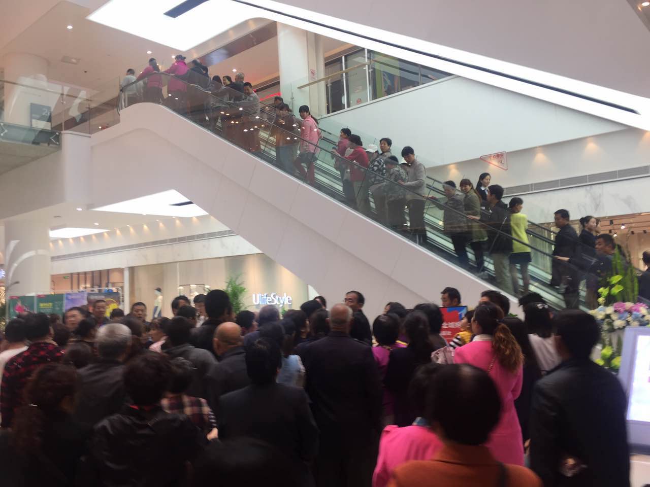 5��27�գ����޻�ʢ��������ʢ��ҵ��