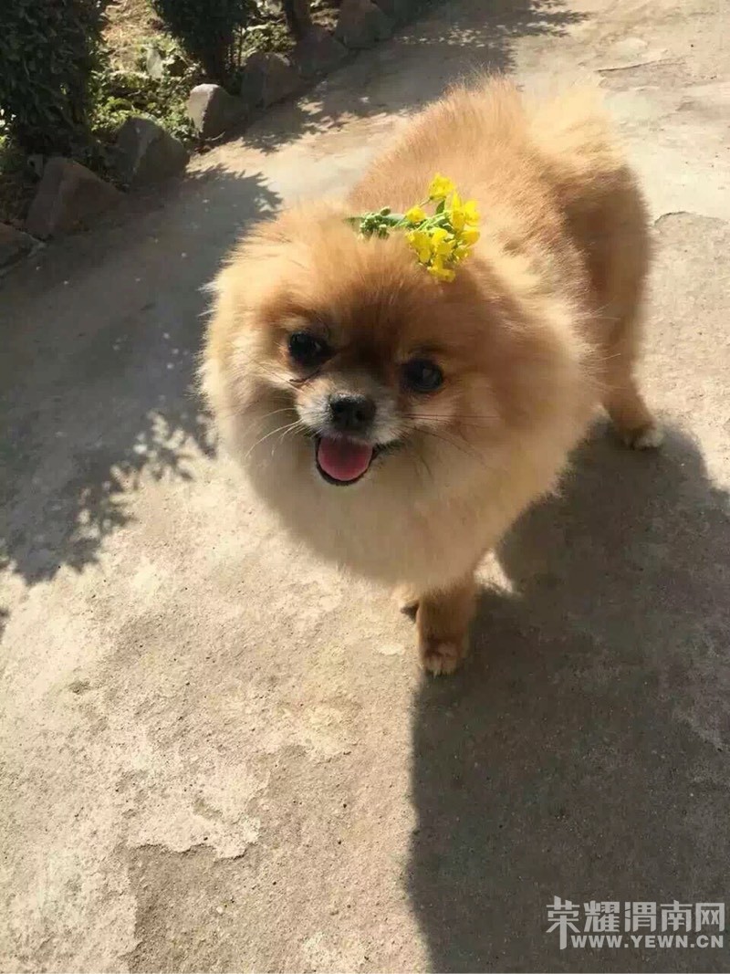 С�������С��Թԡ���������·����������ʧ�������⣡