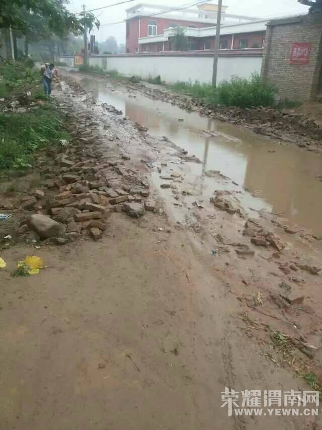 Т�����߼Ҵ�Сѧ��ǰ�ĵ�·��Ţ����������զ����