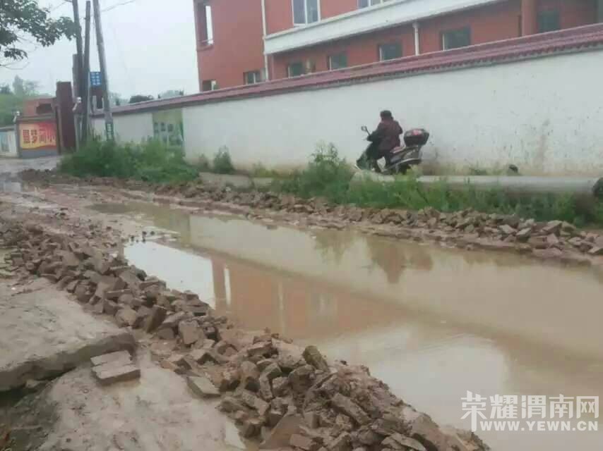 Т�����߼Ҵ�Сѧ��ǰ�ĵ�·��Ţ����������զ����