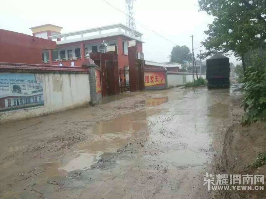 Т�����߼Ҵ�Сѧ��ǰ�ĵ�·��Ţ����������զ����