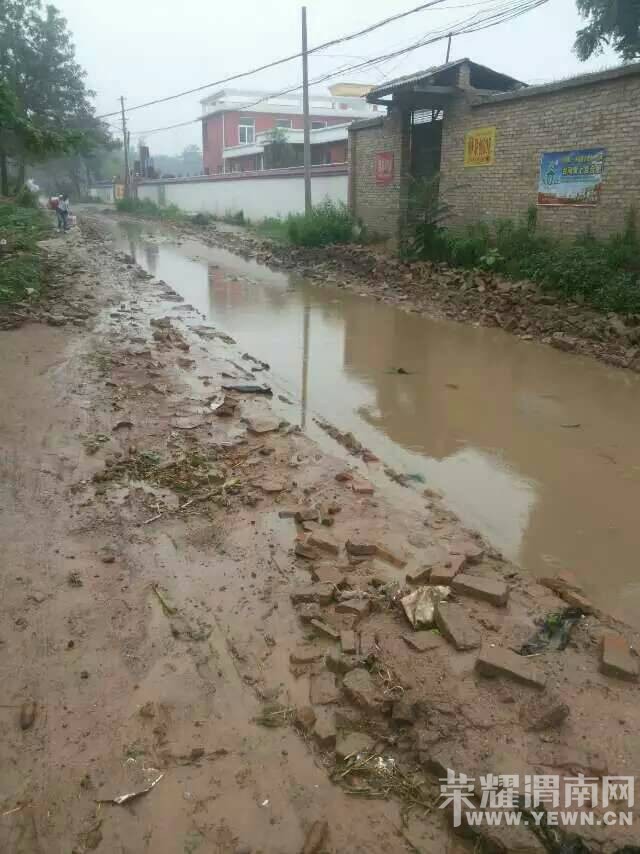 Т�����߼Ҵ�Сѧ��ǰ�ĵ�·��Ţ����������զ����