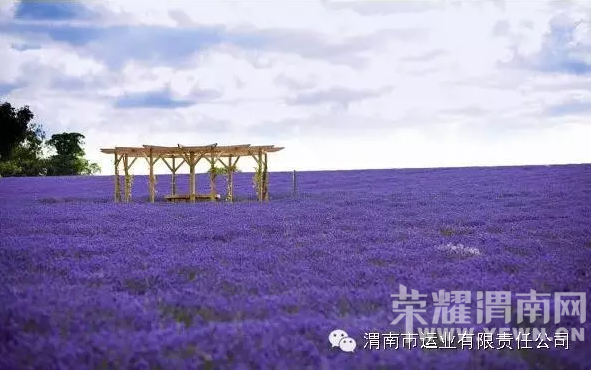 μ�˼��ţ��οͼ�ɢ���ģ�����ˮ��+�������㳡+޹�²�ׯ԰����ֱͨ����ͨ����