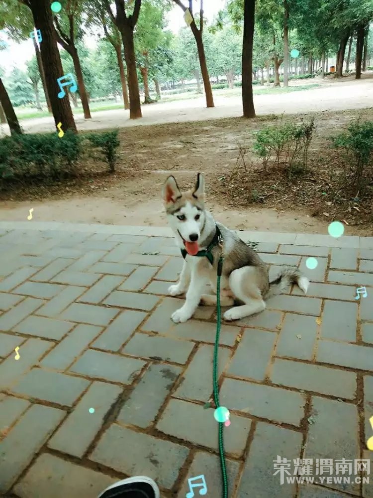 ������2016��5��31�Ž�������ʧ��