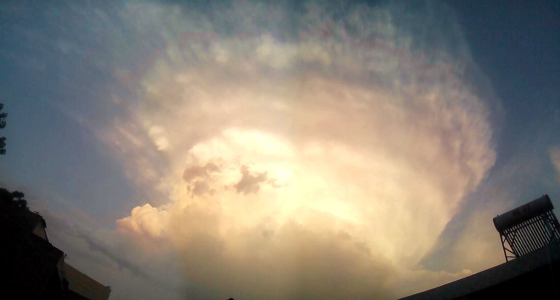 �޻������� 