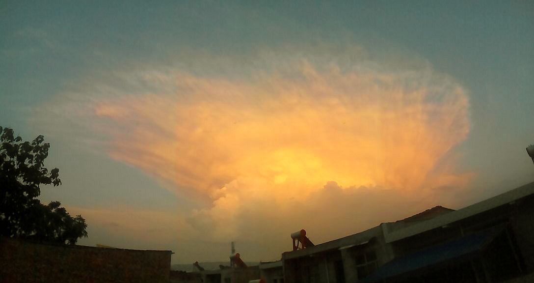 �޻������� 