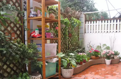 ũ��Ƿ�����ûСԺ������8��ͥԺ������