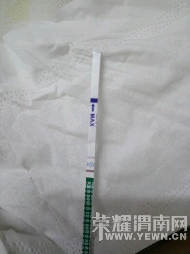 ���������ǻ������𣿵ڶ����ܸ�ǳǳ��