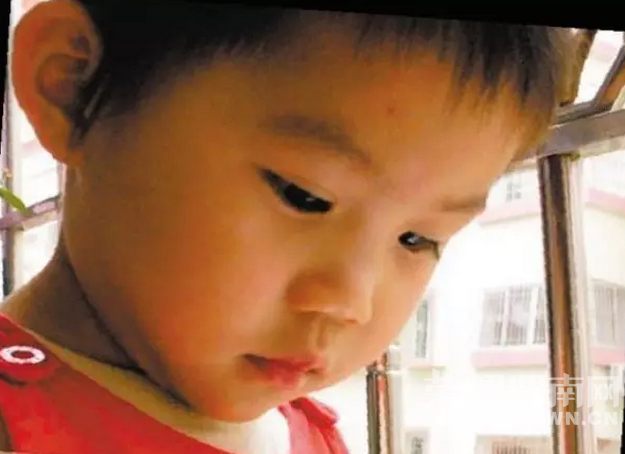 ������С֪ʶ���������׶�԰���ǿ���ô�죿