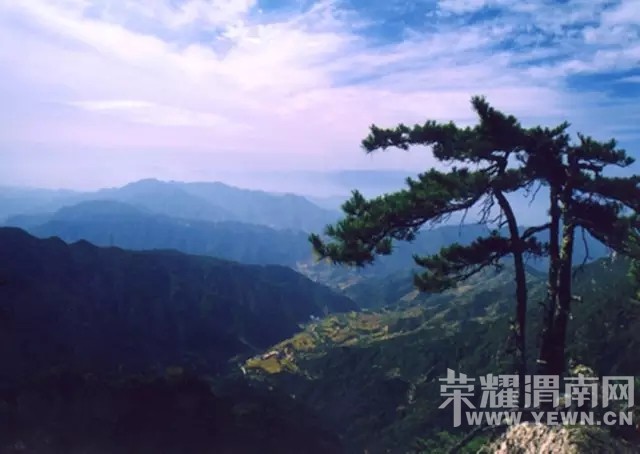 �г�ȴ��֪��ȥ���棿μ���ܱ�15�������Լݶ����⣡