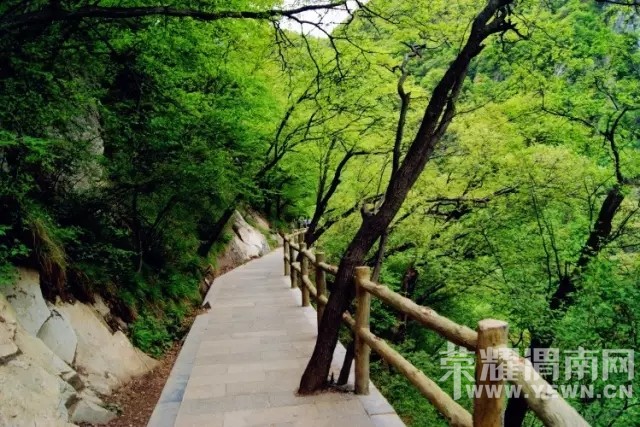 �г�ȴ��֪��ȥ���棿μ���ܱ�15�������Լݶ����⣡