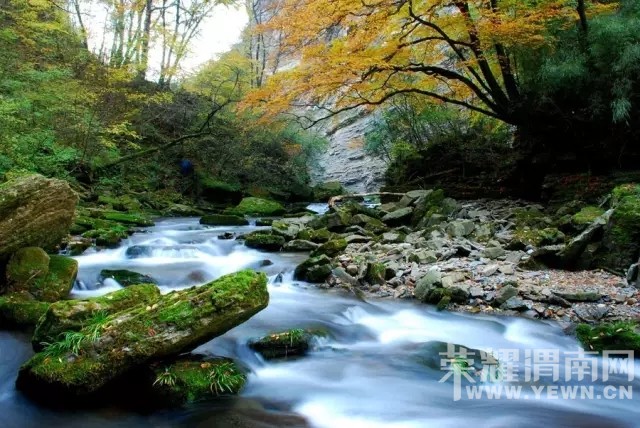 �г�ȴ��֪��ȥ���棿μ���ܱ�15�������Լݶ����⣡