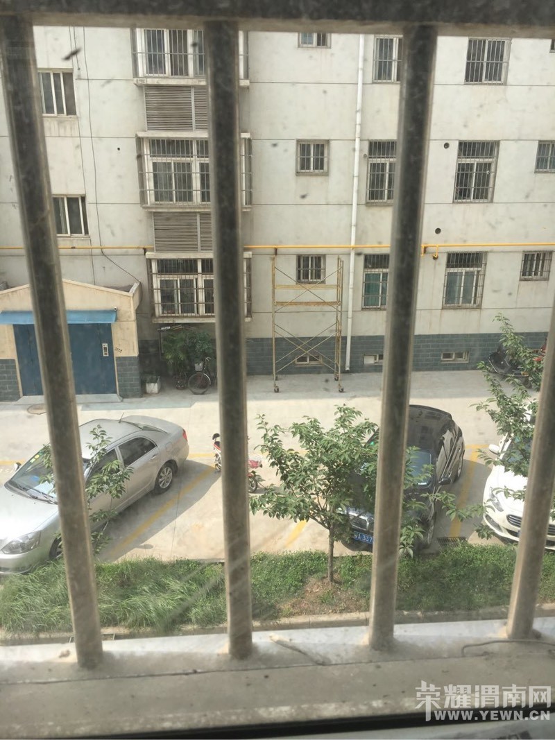 095804vatet8phzpzpvm8b.jpg