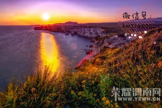 ����ڹ���������Լ�