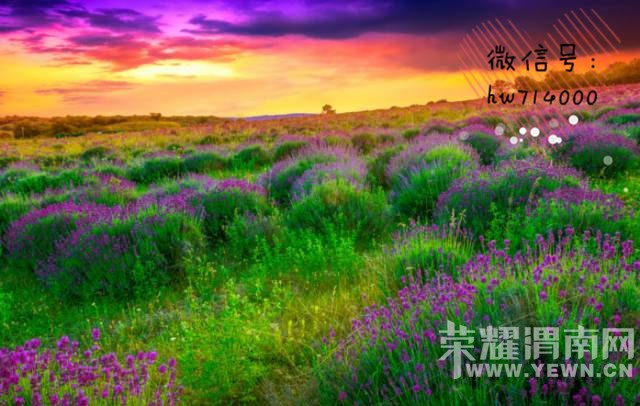 ����ڹ���������Լ�