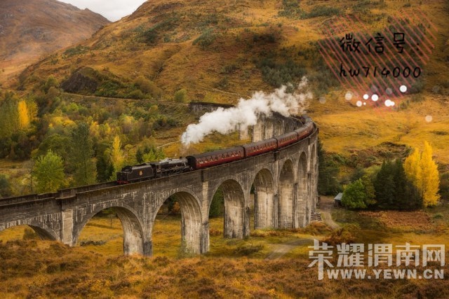 ����ڹ���������Լ�