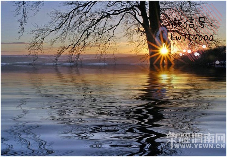 ����ڹ���������Լ�