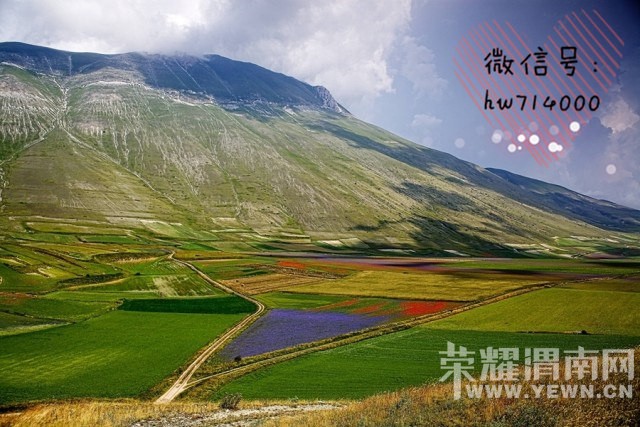 ����ڹ���������Լ�