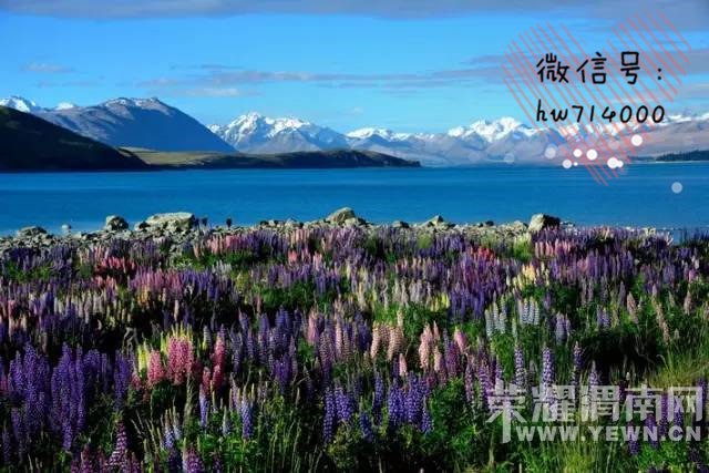 ����ڹ���������Լ�