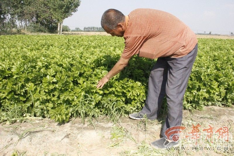 μ�Ϲٵ�����կ��������Ķ�۲����� ���������������������ԣ�